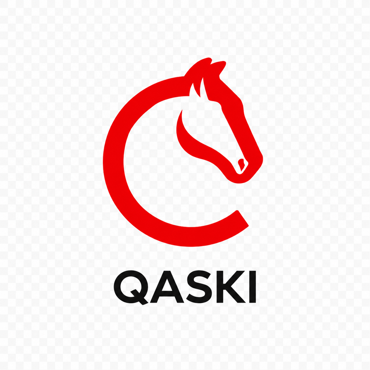 QASKI